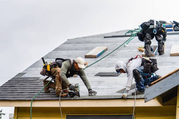 Professional Storm Damage Roof Repair technician working in Olivehill, TN